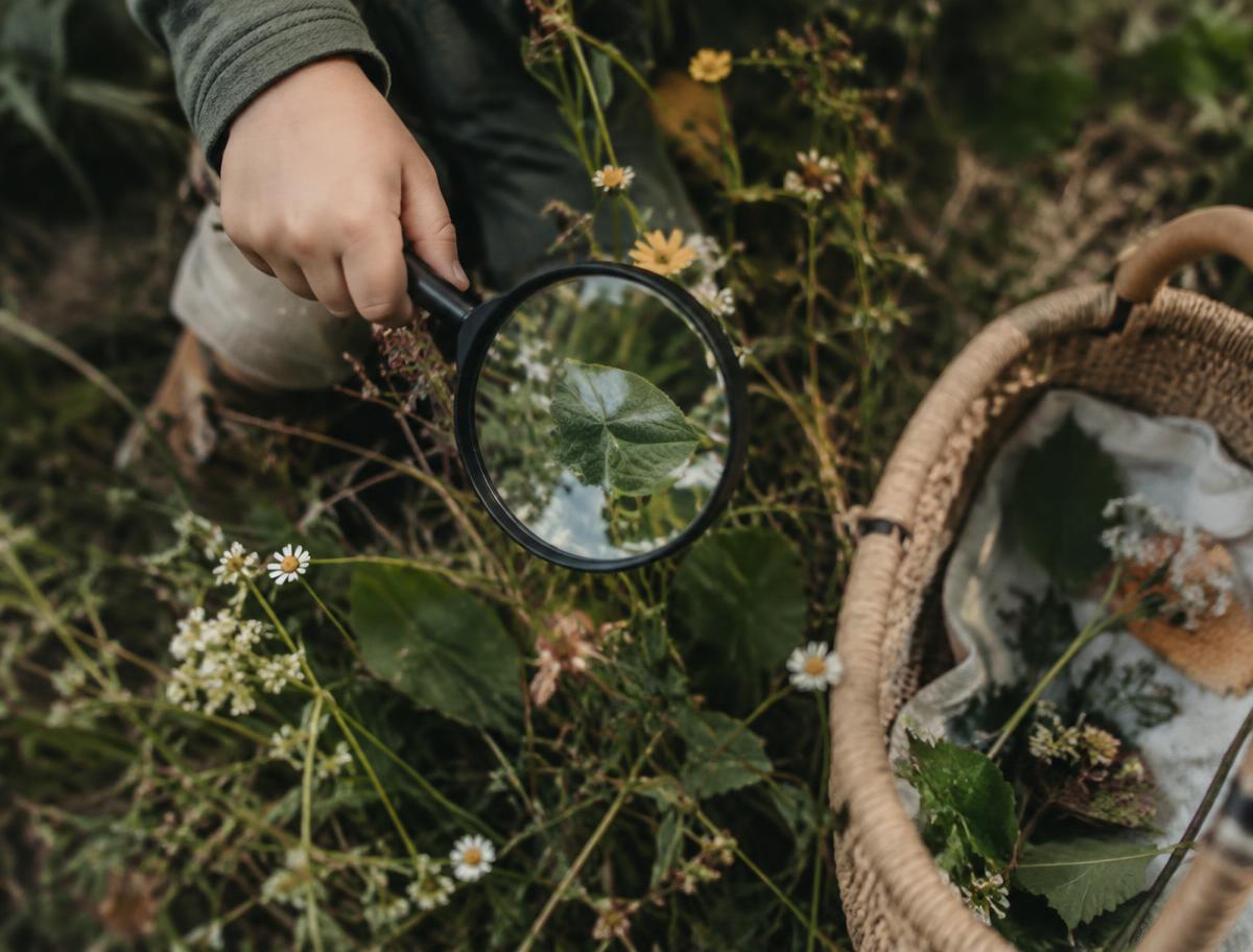 Child exploring nature with a magnifying glass